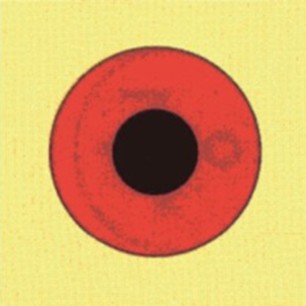 02-IPC1158-00