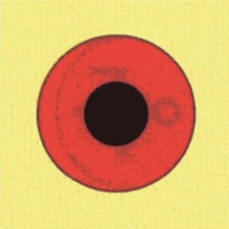02-IPC1158-00