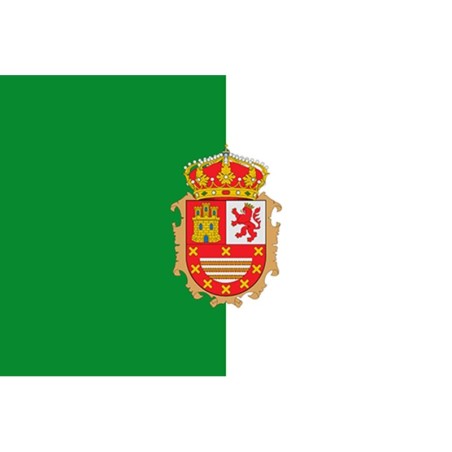 BANDERA FUERTEVENTURA CESCUDO 45 x 30