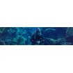 PESCA Y SUBMARINISMO